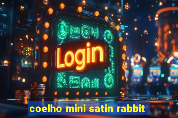 coelho mini satin rabbit